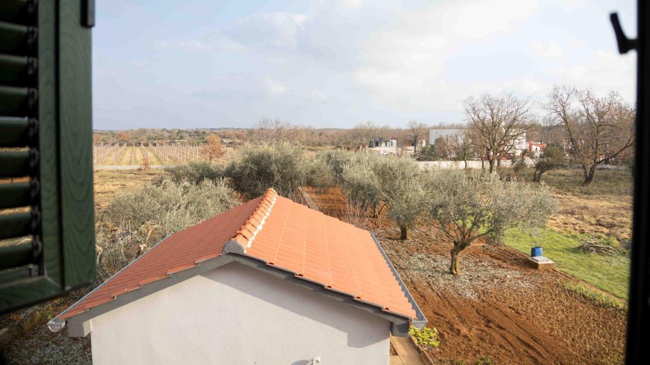 Booking Zaton Villa Martinova Holiday House With Swimming Pool Exterior photo
